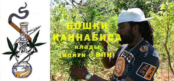 индика Осташков