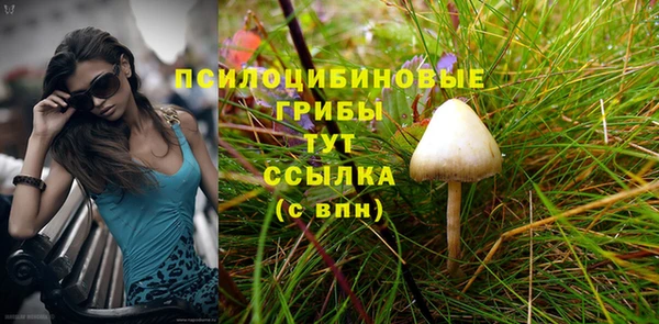 Альфа ПВП Пестово